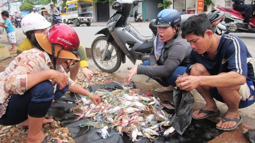 Cẩn trọng khi mua ghẹ “siêu rẻ” bán ở lề đường